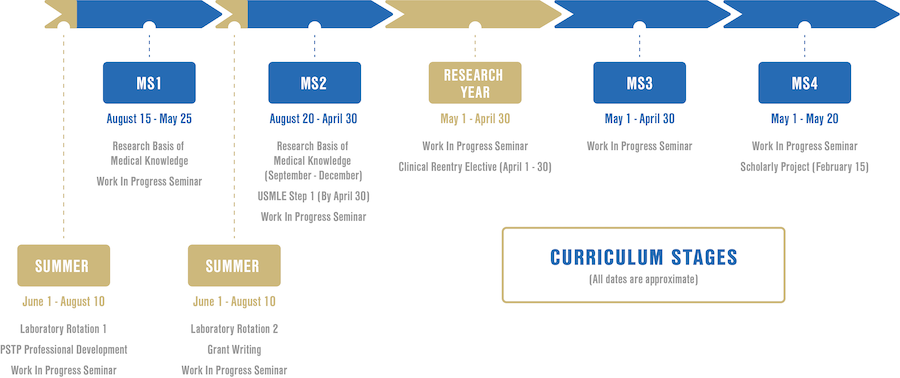 "Curriculum stages"